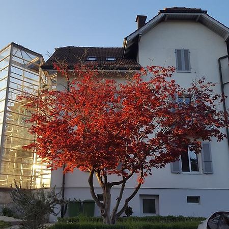 Casa Carmela Hotel Solothurn Exterior photo